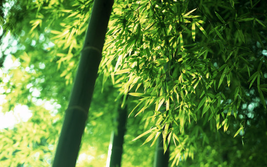 448281 (a): :1920x1200